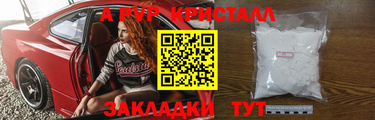 A-PVP СК КРИС Петропавловск-Камчатский