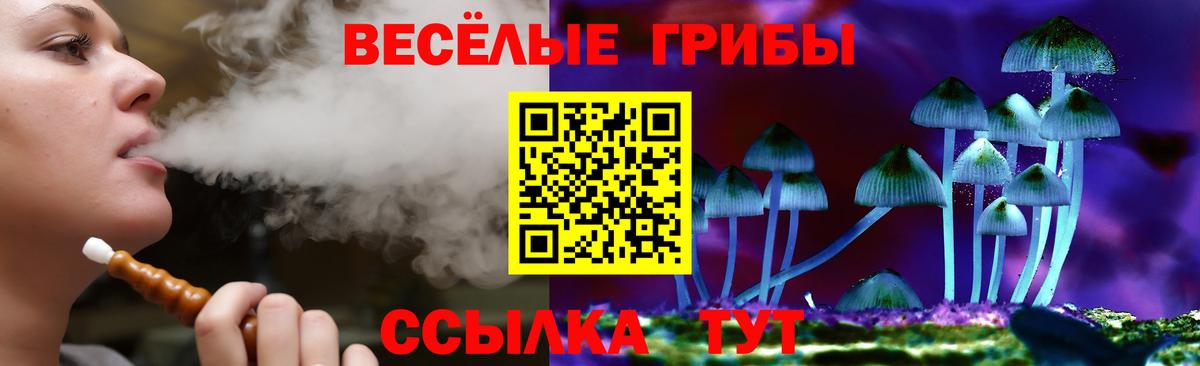 Петропавловск-Камчатский  цена   Вход с VPN  Галлюциногенные грибы MAGIC MUSHROOMS 